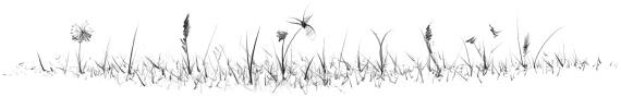green-fodder